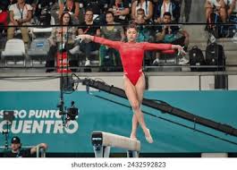 实力和团队 实力和团队