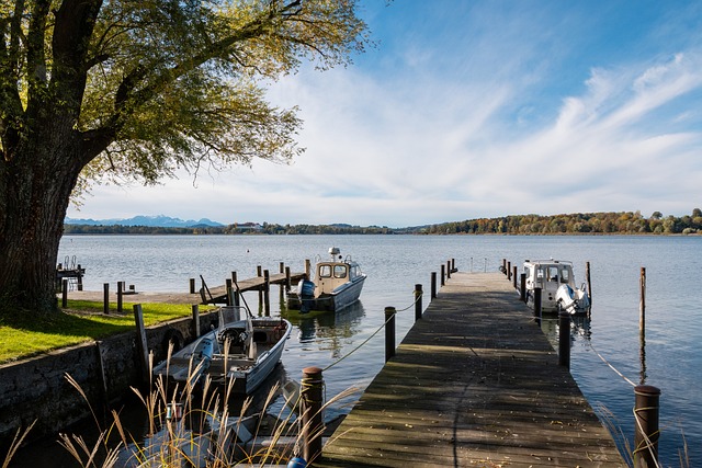 他个人的执 他个人的执