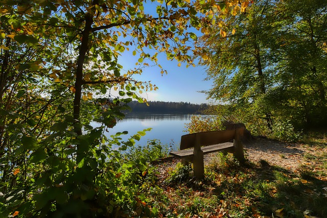 教育的重要 教育的重要