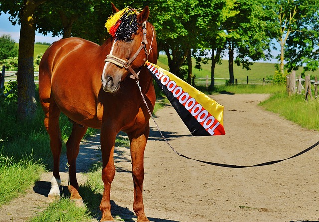 的進攻火力 的進攻火力