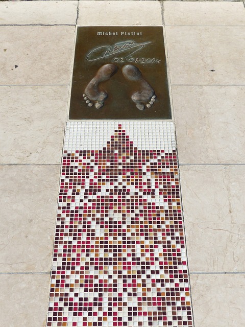 激烈的联盟 激烈的联盟