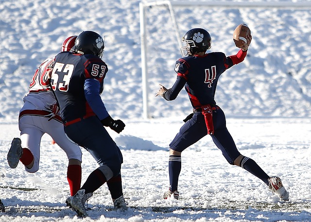 几个赛季中 几个赛季中