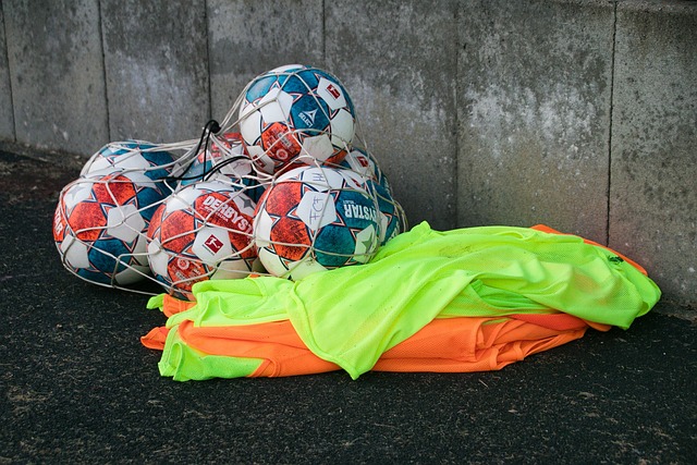 續的努力 續的努力